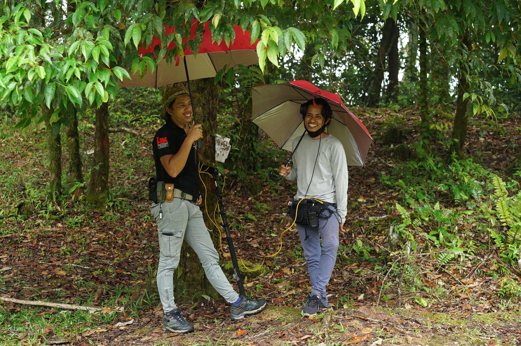 Behind the scenes on The Lost Bornean Rainbow Toad, photo 5
